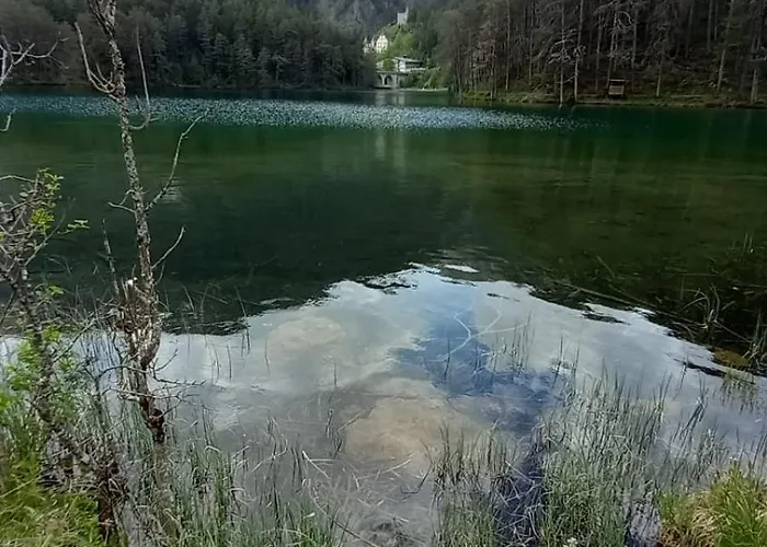 公寓 Schleich 那塞雷思